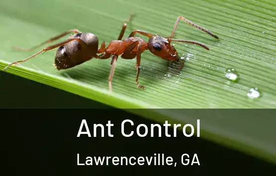  Ant Control Lawrenceville, GA