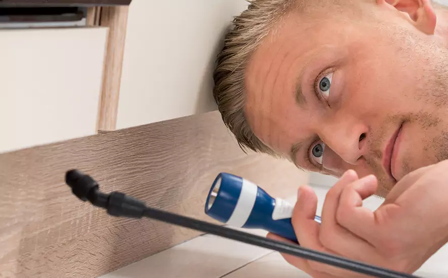 Top-Notch Pest Control in Lawrenceville