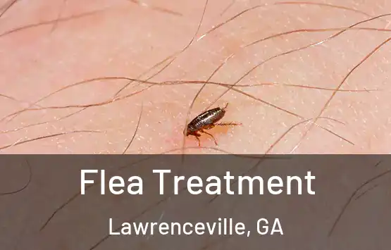  Flea Treatment Lawrenceville, GA