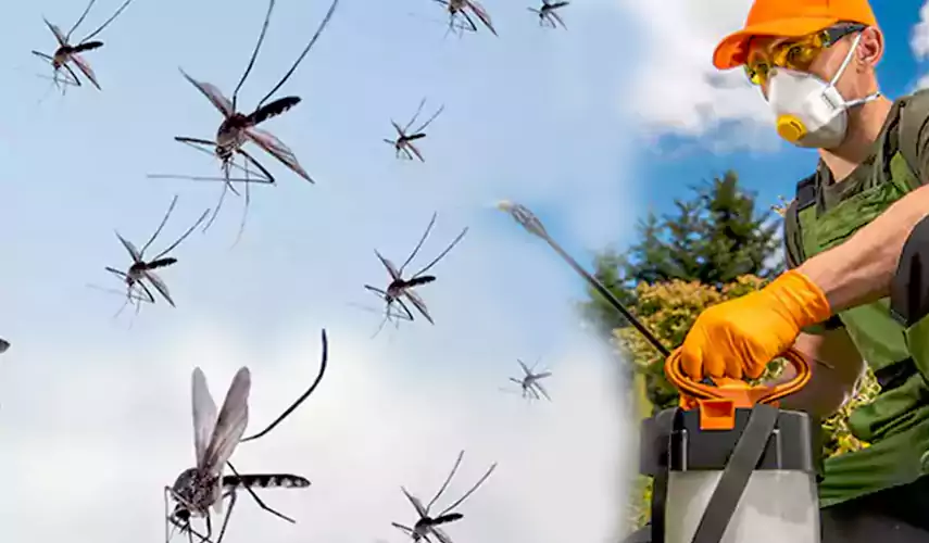 Mosquito Pest Control in Lawrenceville, GA