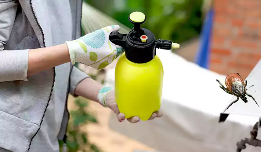 Ticks Pest Control Lawrenceville, Georgia