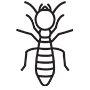 Termites Pest Control Lawrenceville, Georgia