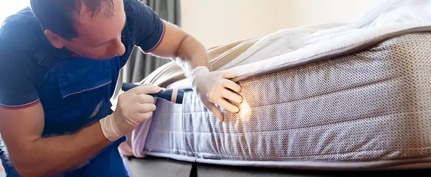 bed-bug-exterminator in Lawrenceville, GA