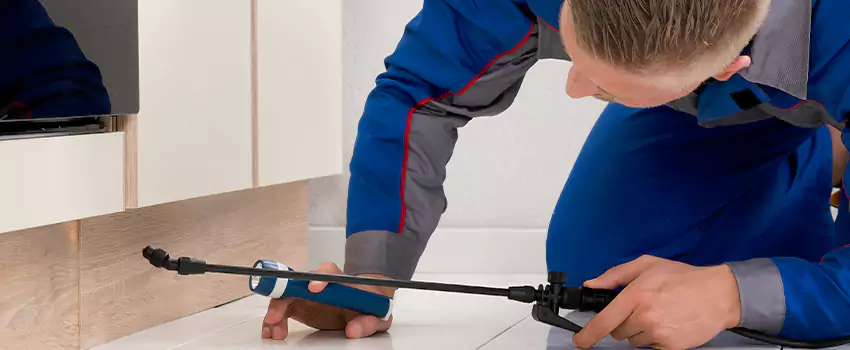 Ant Control for Bedrooms in Lawrenceville, GA