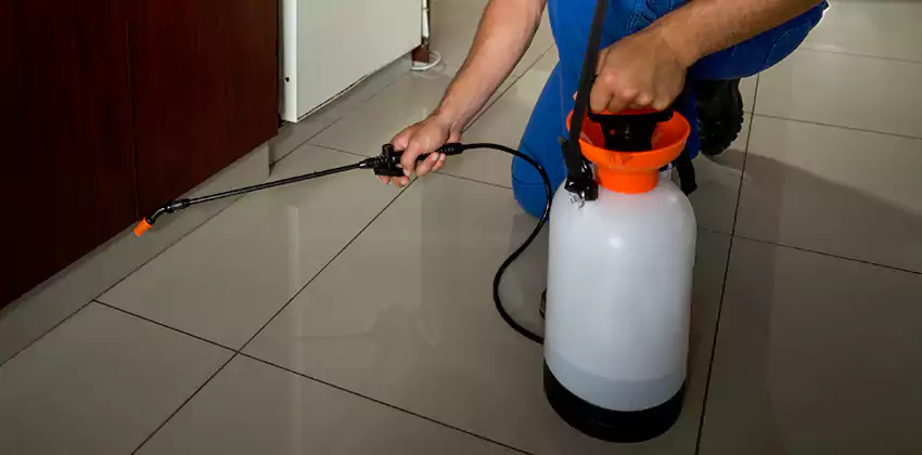 Commercial Pest Extermination for Offices in Lawrenceville, GA