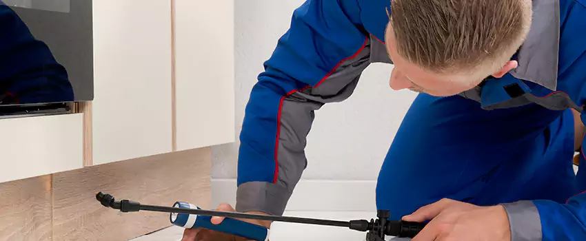 Termite Control for Children and Pets in Lawrenceville, GA