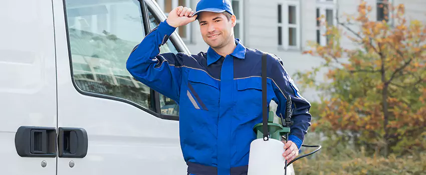 Whitefly Treatment for Bedrooms Lawrenceville, GA