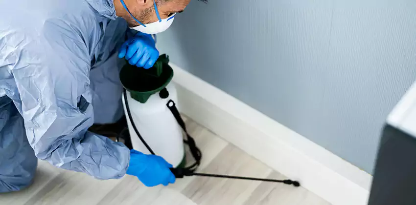commercial-pest-exterminator in Lawrenceville, GA