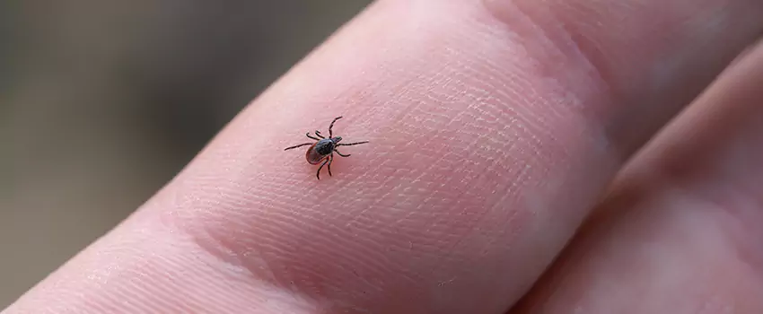 tick-control in Lawrenceville, GA
