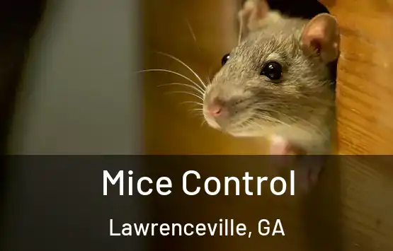  Mice Control Lawrenceville, GA