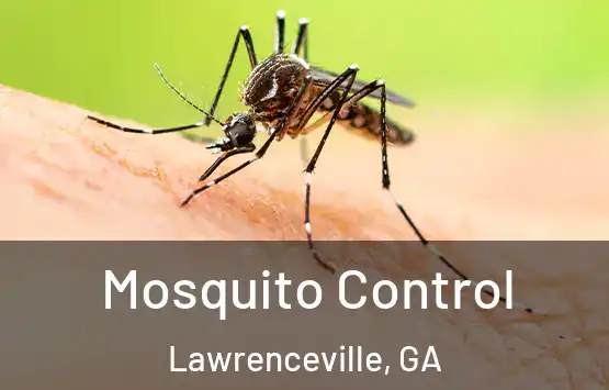  Mosquito Control Lawrenceville, GA