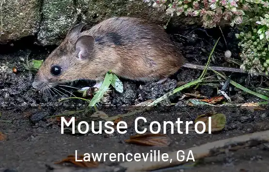  Mouse Control Lawrenceville, GA