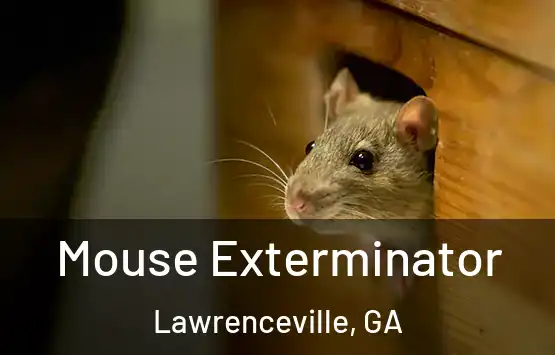  Mouse Exterminator Lawrenceville, GA