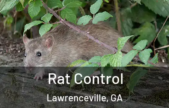  Rat Control Lawrenceville, GA
