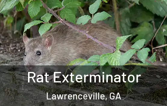 Rat Exterminator Lawrenceville, GA