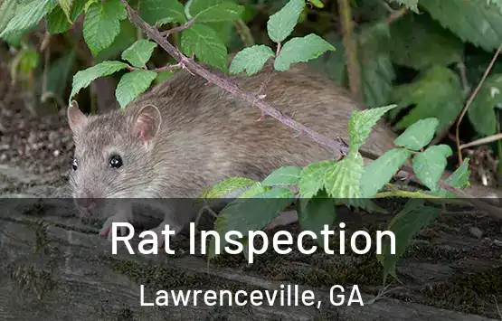  Rat Inspection Lawrenceville, GA