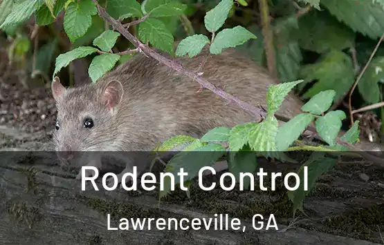  Rodent Control Lawrenceville, GA