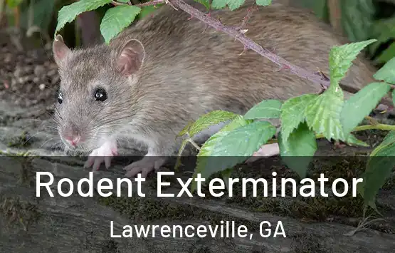  Rodent Exterminator Lawrenceville, GA