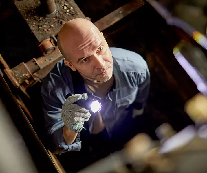 About Pest Inspection Lawrenceville