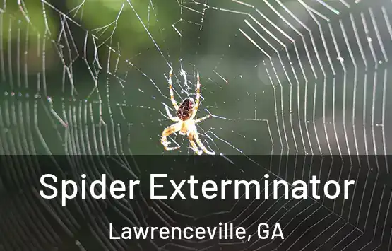  Spider Exterminator Lawrenceville, GA