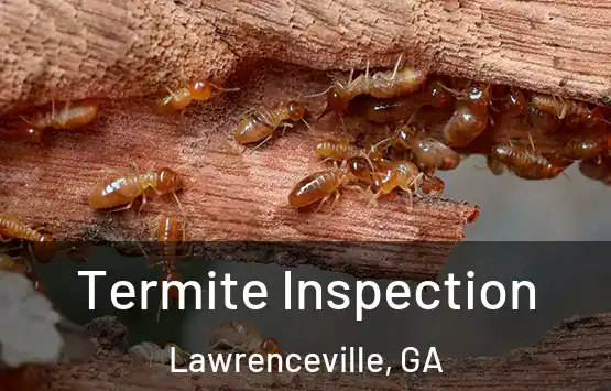  Termite Inspection Lawrenceville, GA