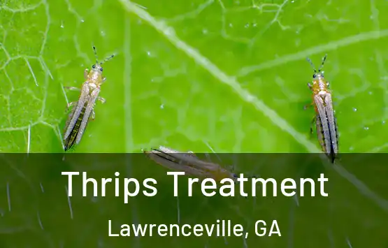  Thrips Treatment Lawrenceville, GA