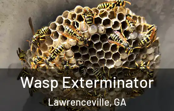  Wasp Exterminator Lawrenceville, GA