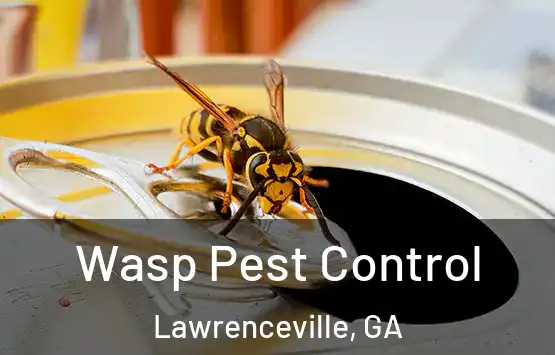  Wasp Pest Control Lawrenceville, GA