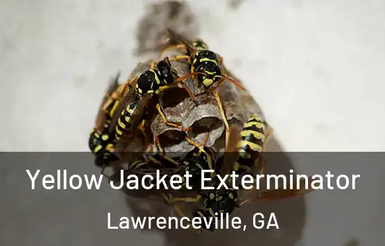  Yellow Jacket Exterminator Lawrenceville, GA